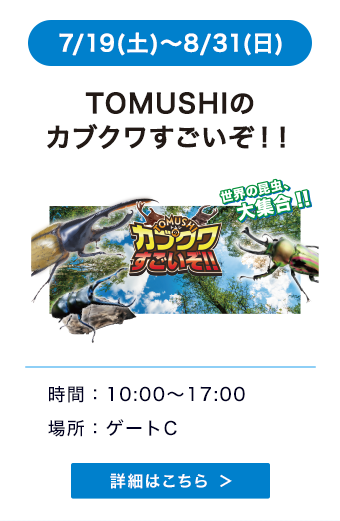 TOMUSHI