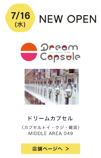 ドリームカプセル