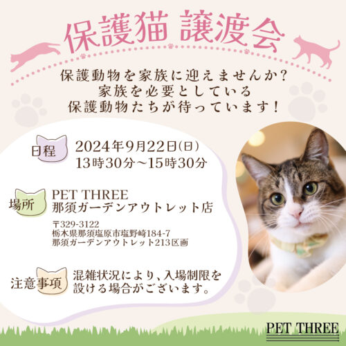 9月22日 (日)保護猫譲渡会開催！！