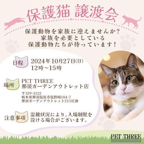 🍂💖🐈保護猫譲渡会開催🐈💖🍂