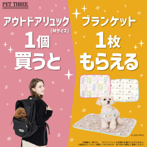 【2月限定！】ブランケットプレゼントキャンペーン🧣✨