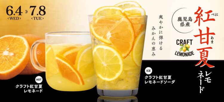 大人気クラフトレモネードシリーズに新商品登場!!