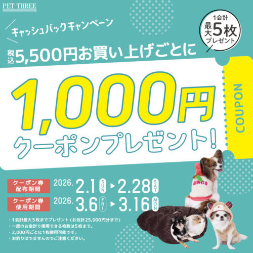 ✨1,000円クーポンプレゼントキャンペーン🎫✨