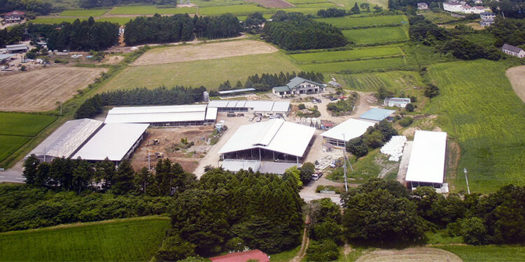 今年のバレンタインはチーズに決まり!那須高原今牧場「ハート型チーズ」