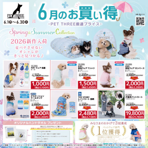 🩵6月のひんやり快適アイテム特集✨