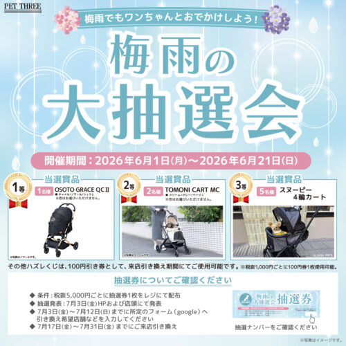 🌈☔️6月限定!梅雨の大抽選会開催!☔️🌈